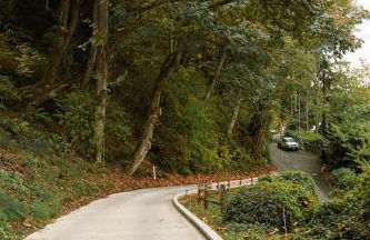 Sweet Lil Casita Puget Sound Hideaway - Photo 7