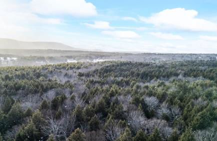 Catskills Mountain Home Near Windham w Fireplace Open Living Deer Run Lodge by AvantStay - Foto 41