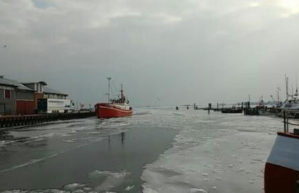 FW Einfeldt - Foto 19