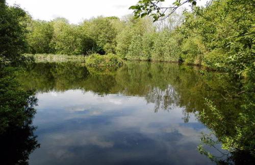 Converted Granary on a rural small holding - Photo 16