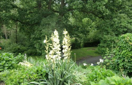 Ferienhaus Haus am Wald - Foto 10