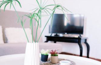 LaPlayaSuites 1st - Foto 28