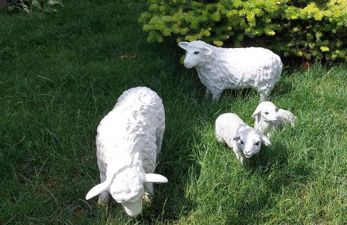 Appartement - FeWo Wenne - Foto 27