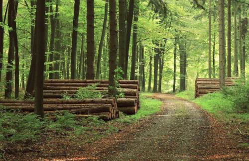 Grande maison en pierre au coeur du village provençal du XIe siecle 10 personnes - Foto 48