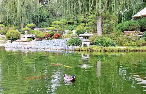 BonVoyage-Sleep&Sail Overnight Stays-Sleeps 6-8 - Foto 45