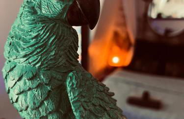 Studio Exotique Hyper-Centre Enghien 12min Paris - Foto 18