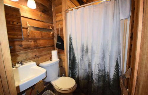 High Top cabin at Cabin Fever in NC - Foto 9