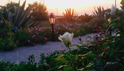 Studios Stefani - Foto 5, Garden