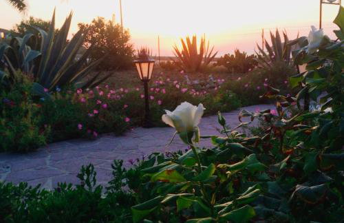 Studios Stefani - Photo 5