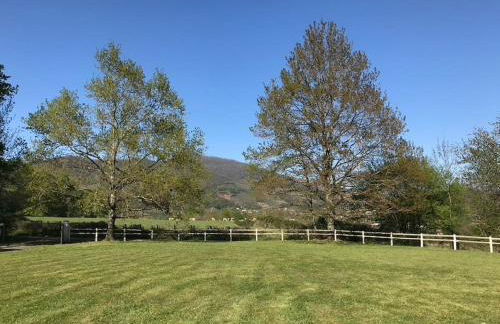 Villa Paulen Pausa - Foto 35