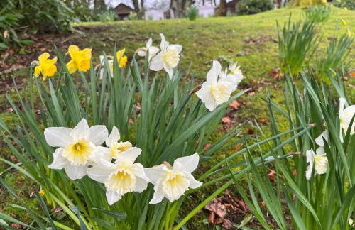 Lovely Carlung House - Foto 46