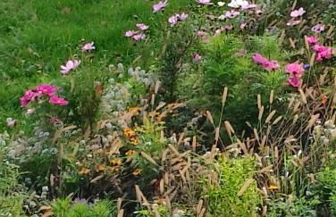 Ferienwohnung Am Geysirzentrum - Foto 35