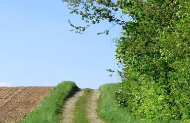 Neue Ferienwohnung in Illmensee Ruschweiler - Foto 27