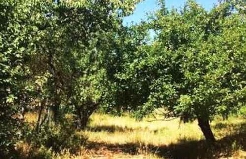 Cascina Baracico, circondati dalla natura - Foto 54