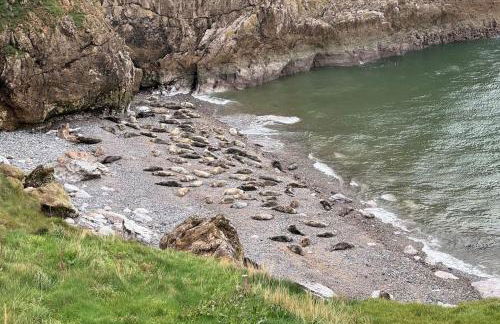 Central Colwyn Bay 2nd Floor Flat 3 - Foto 6