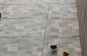 Casa bem te vi - Foto 32