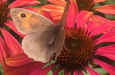 Am Dürrenbachtal - Photo 20