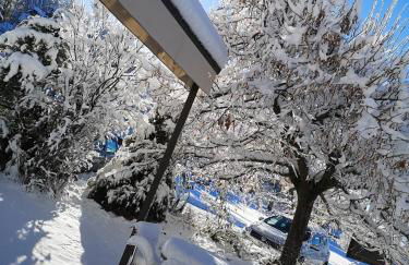 Les Alisiers - Foto 1