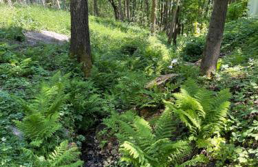 U źródła. Noclegi w Małym Dólsku - Foto 32