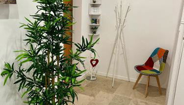 Inalpi Arena ex Pala Alpitour Stadio Olimpico SEBA159 - Foto 1, Other