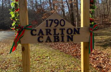 Carlton Cabin at Lake of Egypt 500 Sq Ft - Photo 23