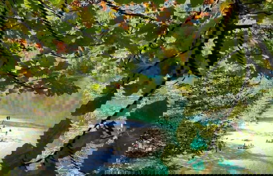 Antica Residenza de Poda - Foto 46