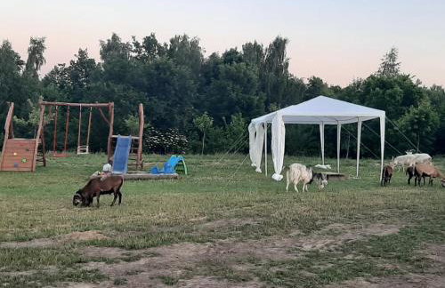 Gosp. Agroturystyczne Stary Gaj - Foto 64