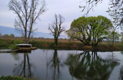 Countryside apartments ground floor - Foto 37