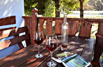 Drozdówka nad Soliną - Domki BOHO - Foto 25