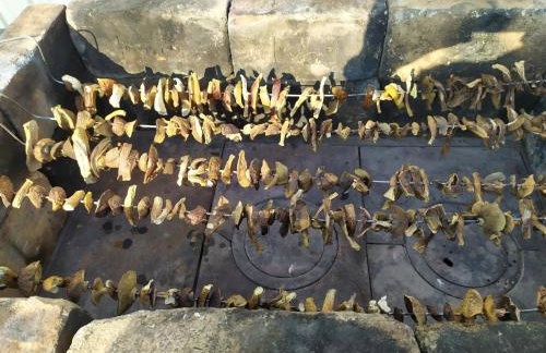 Domek letniskowy Nad Mrowinkiem - Foto 29