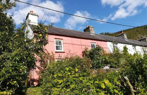 Rhandirmwyn - Cottage - Sleeps 4 - Pet Friendly - Foto 37