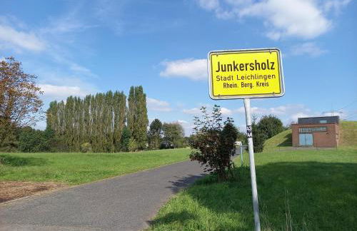 Bauernhof Sesterhenn - Foto 35