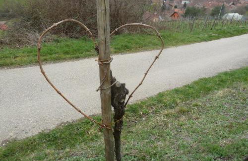 Gitzelbrunnen - Foto 9