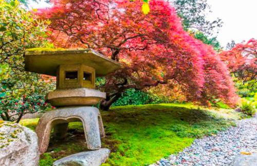 Montlake Apartments - Arboretum, UW, Husky Stadium - Foto 16