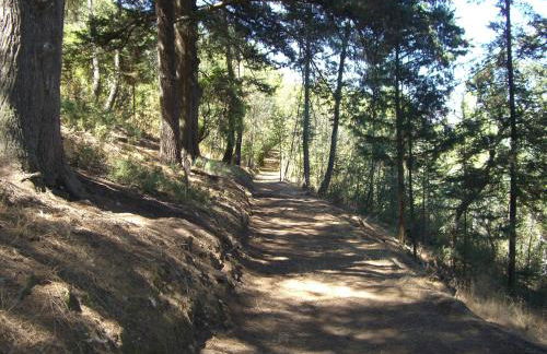 Quinta das Aveleiras - Foto 35