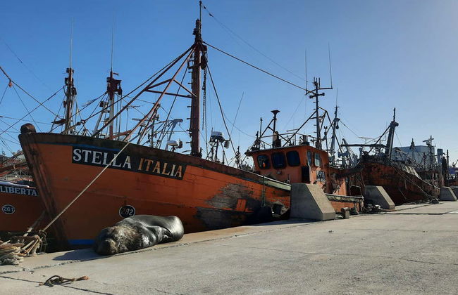 Mar del Plata Coastal Hiking Tour - Photo 8