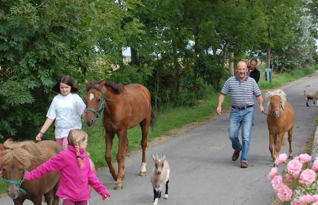 Wellness House Sand & sea - Foto 12