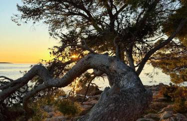 Sunny Terrace Zavala Hvar studio with terrace - Foto 8