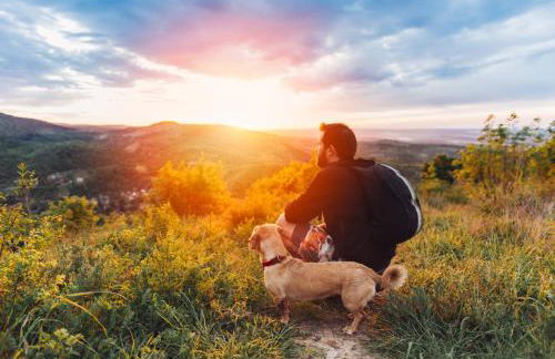 Mountain Harmony - Foto 32