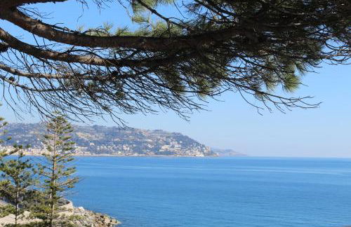 Le Mimose Garden - Photo 29