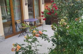 Willa Matylda Karpacz - Foto 26