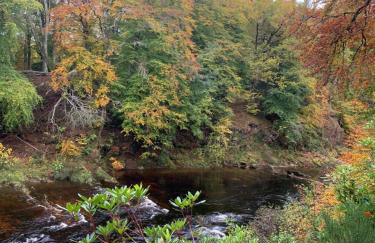 Oakbank - Comfort in the Glens! - Photo 22