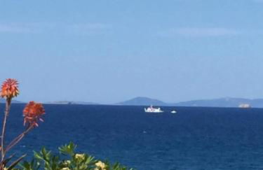 ILIOPOULOS Apartments - Foto 39