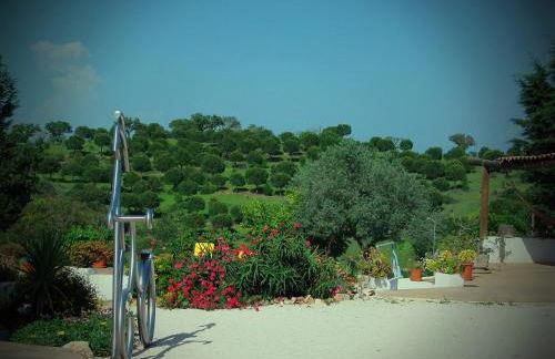 Ninho Da Poupa - Foto 33