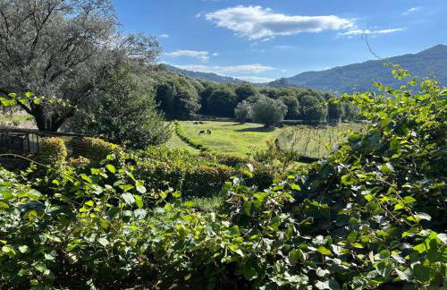 Swimming Pool Bedroom at Casa dos Macieis, Camino Santiago direct access & Optional Agritourism - Foto 30