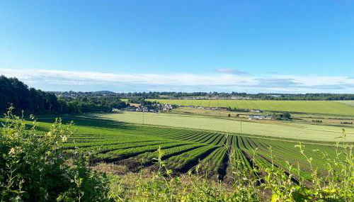 Castlehill - Photo 4