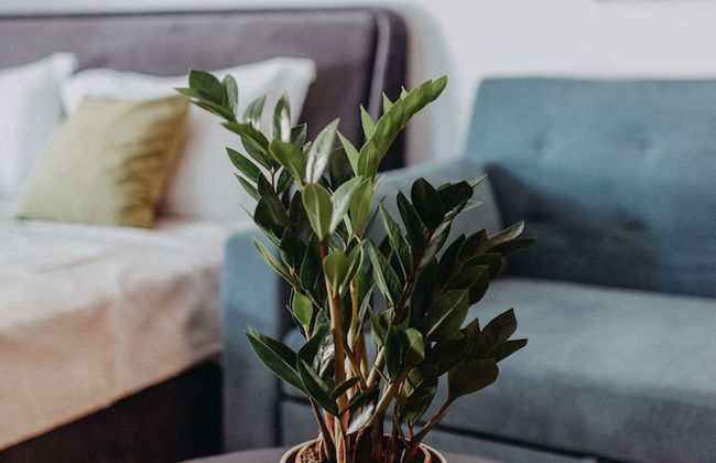 Best House- Nirvana II Patra - Foto 23