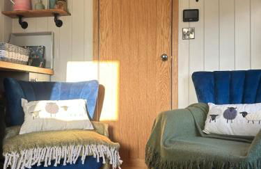 Shepherds hut, Eco, Log burner Hot tub NY moors - Foto 3