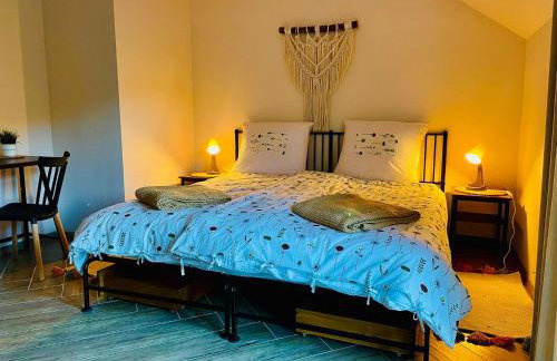 GÓRSKA CISZA - Duży, komfortowy, wyjątkowy Apartament - Foto 12