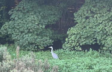 Waterside Lodge, Weybourne, Holt - Photo 21